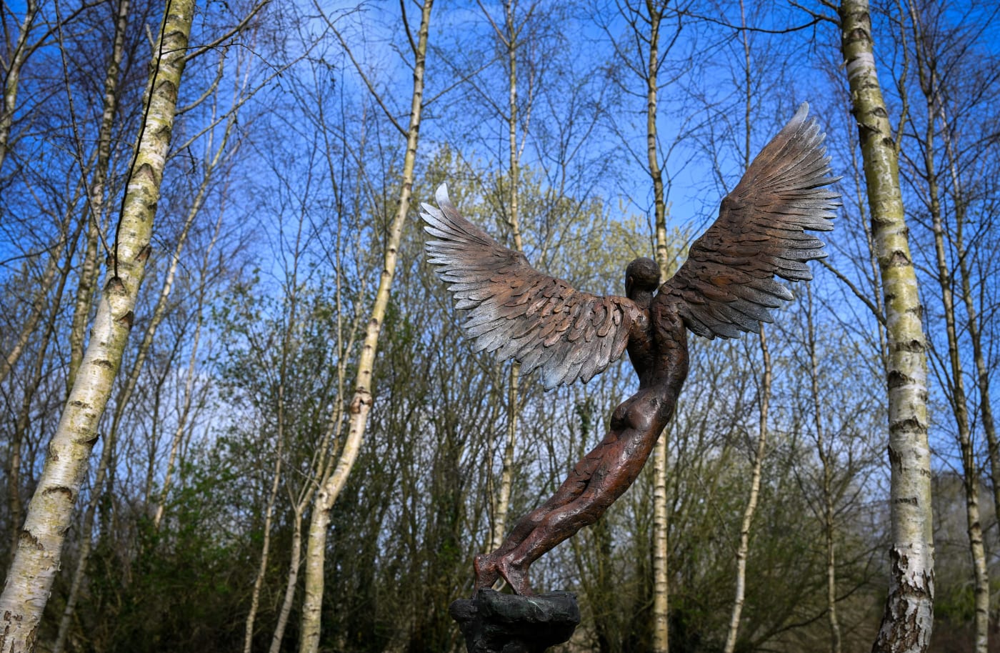 Icarus IX by Nicola Godden Photo by Finnbarr Webster