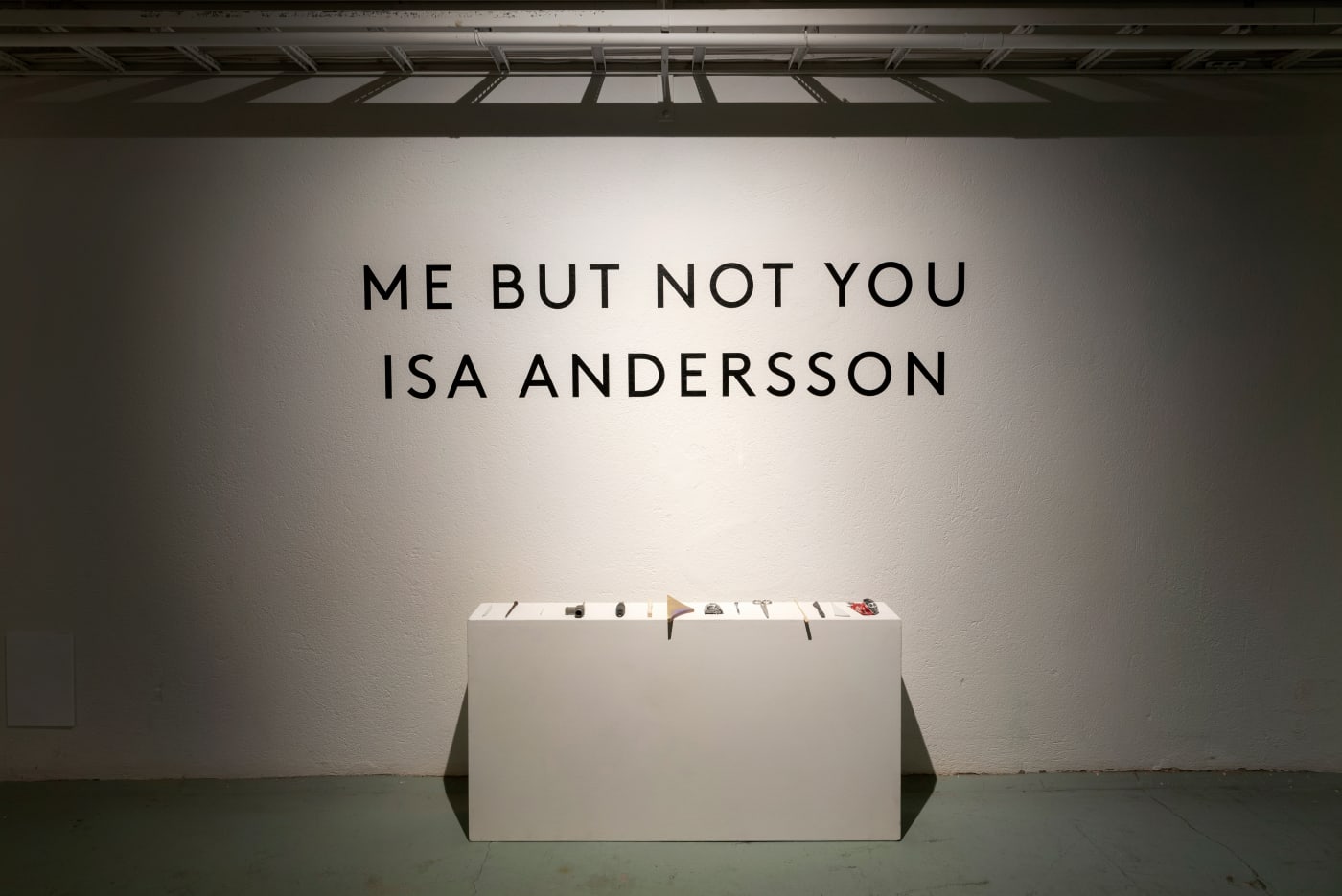 Isa Andersson | Me but not you