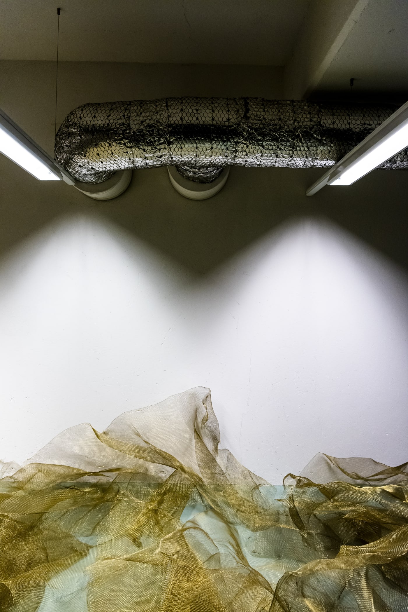 Serinyà | Whispers from the Mesh