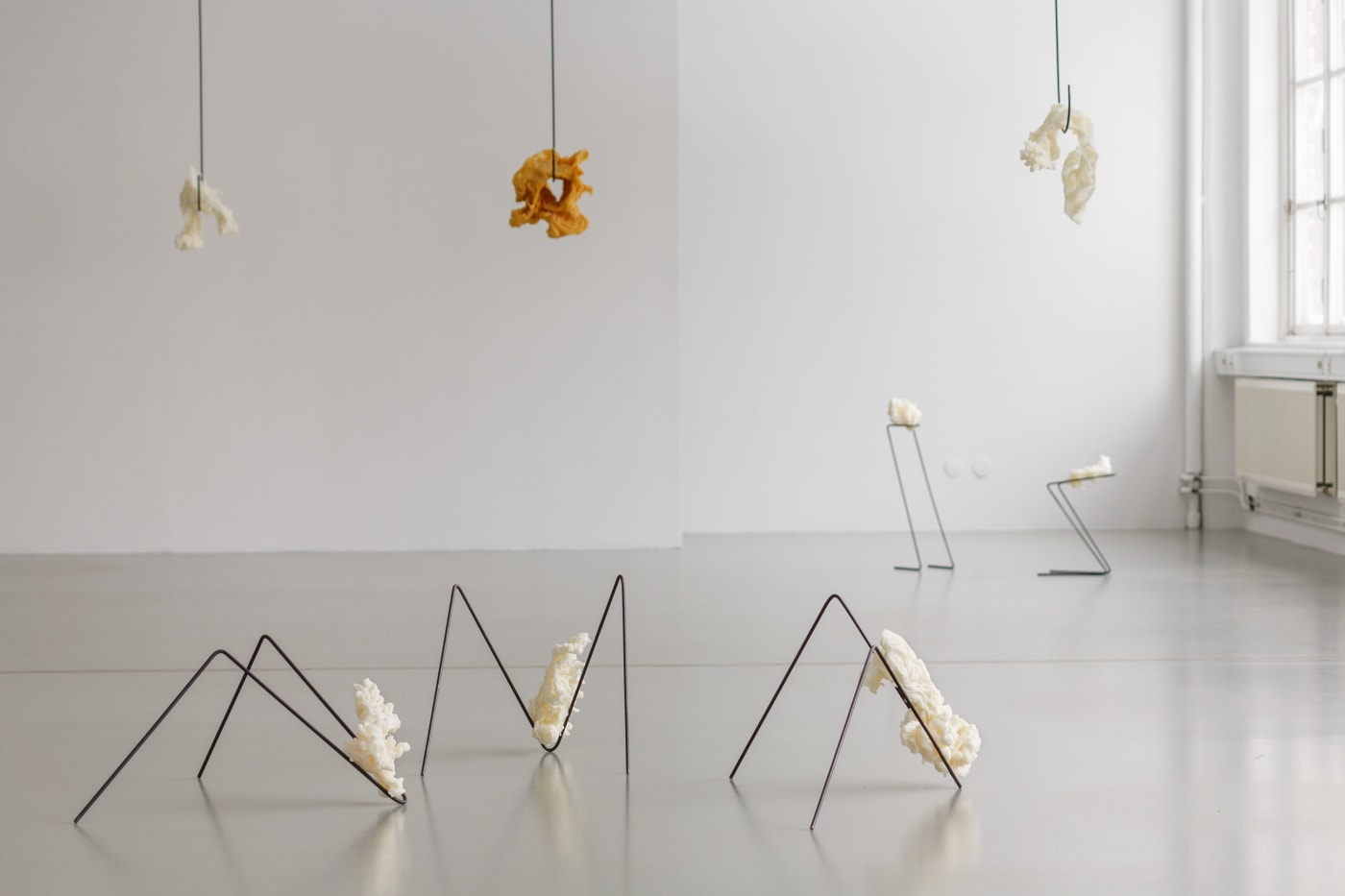 Hannah Nyberg | Shift