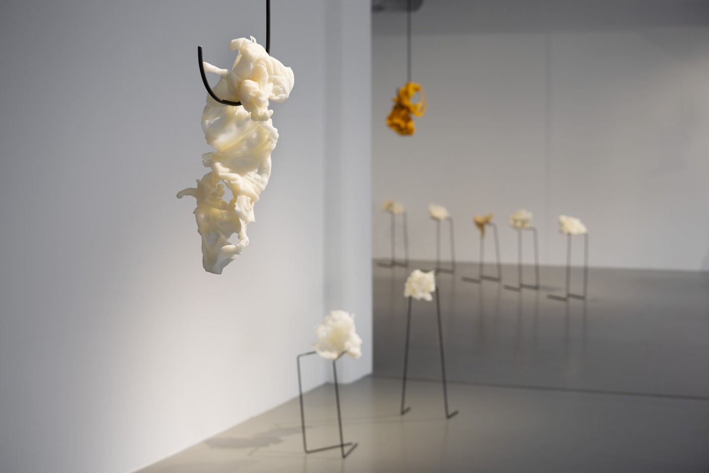 Hannah Nyberg | Shift