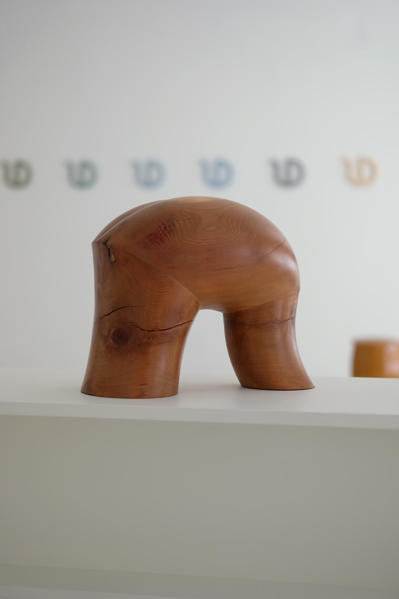 Aldo Bakker "SPECIFIC OBJECTS"