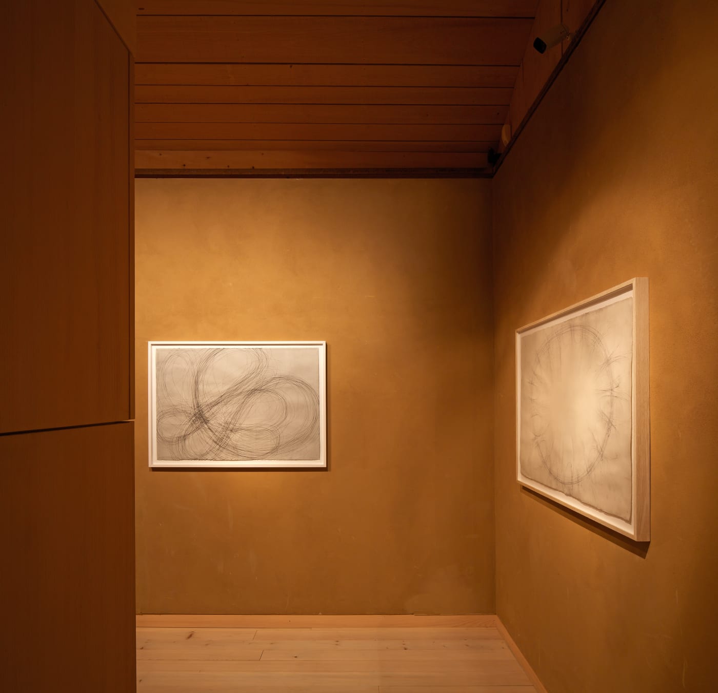 Antony Gormley "DRAWING"