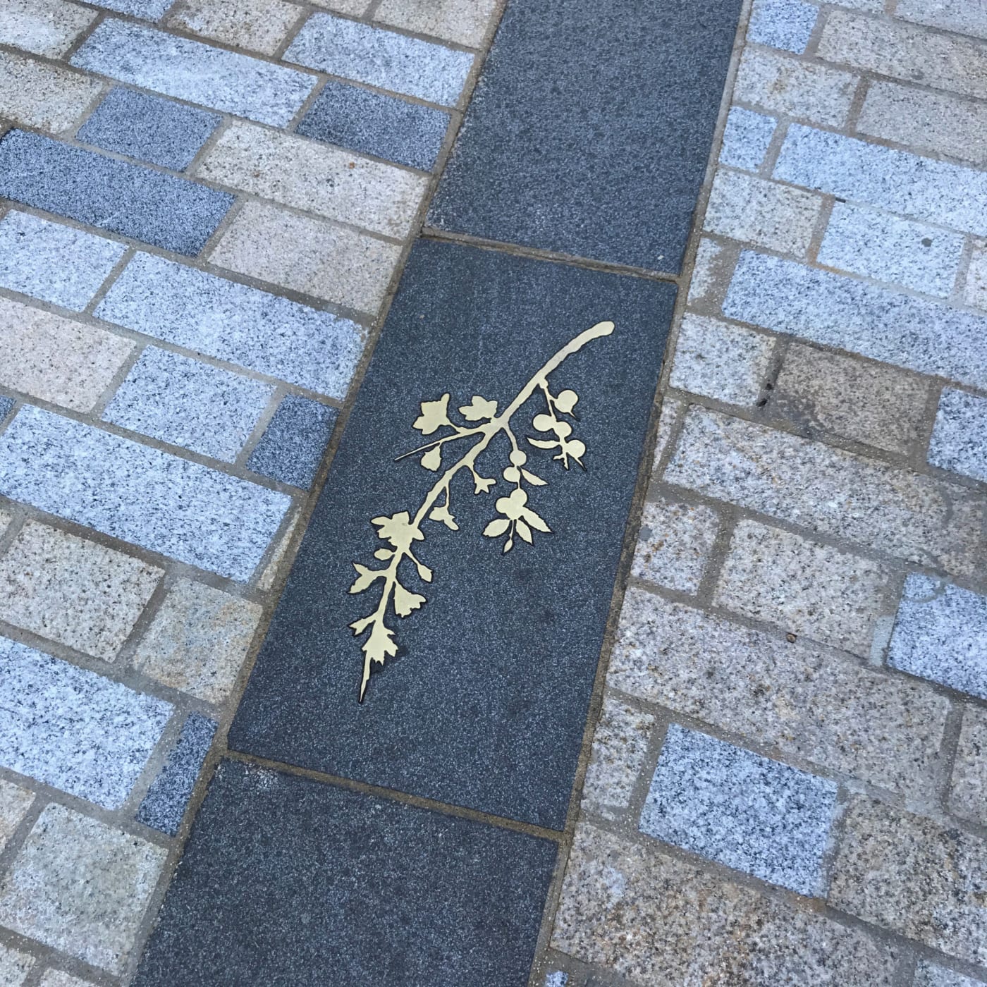 Treasure