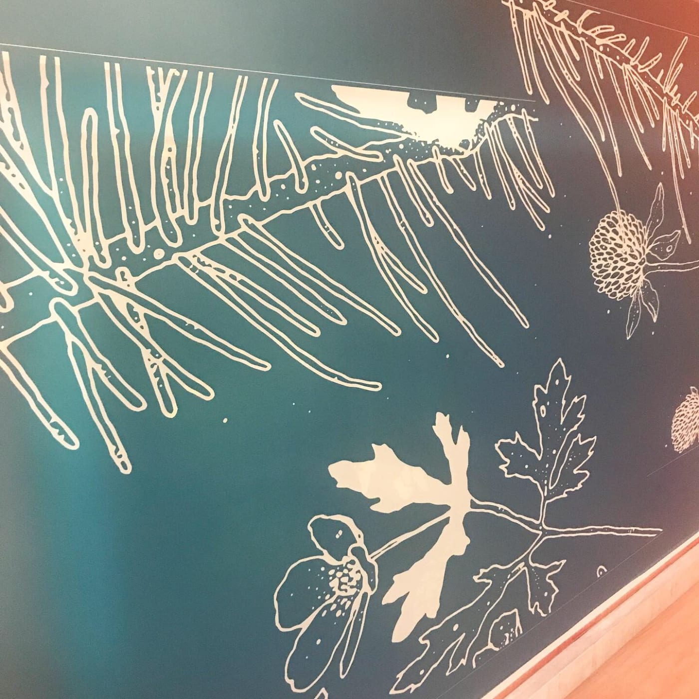 Herbarium
