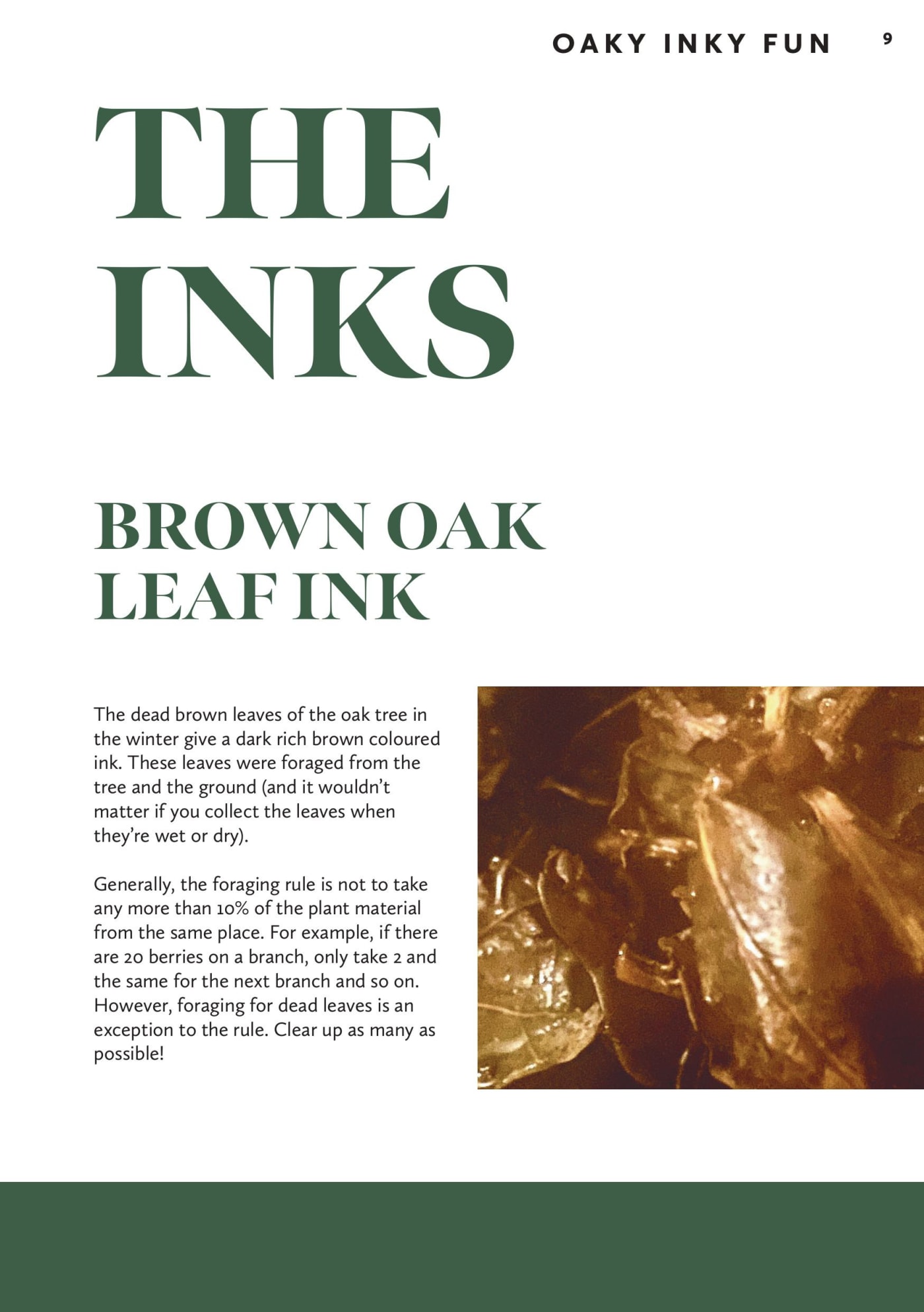 Old Oak