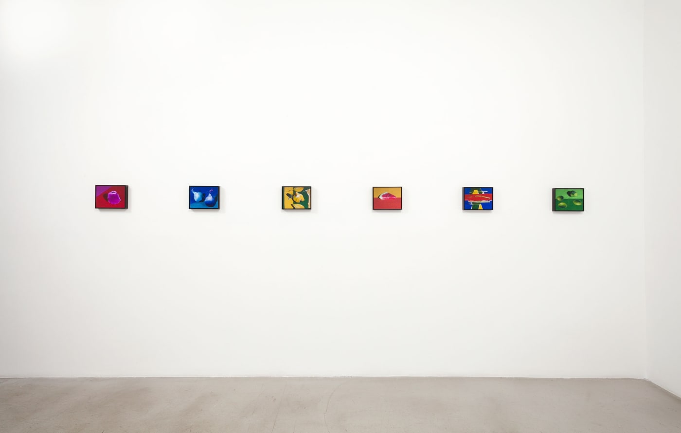 Installation view of Daniel Gordon: The Green Line at M+B, 2013