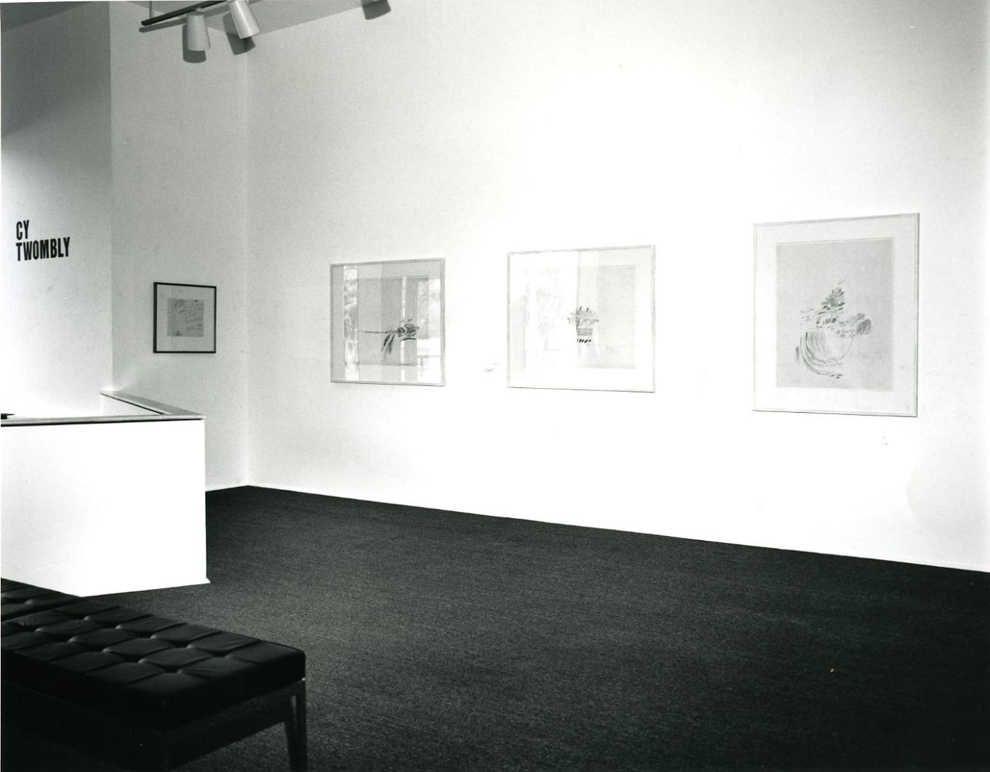 Cy Twombly