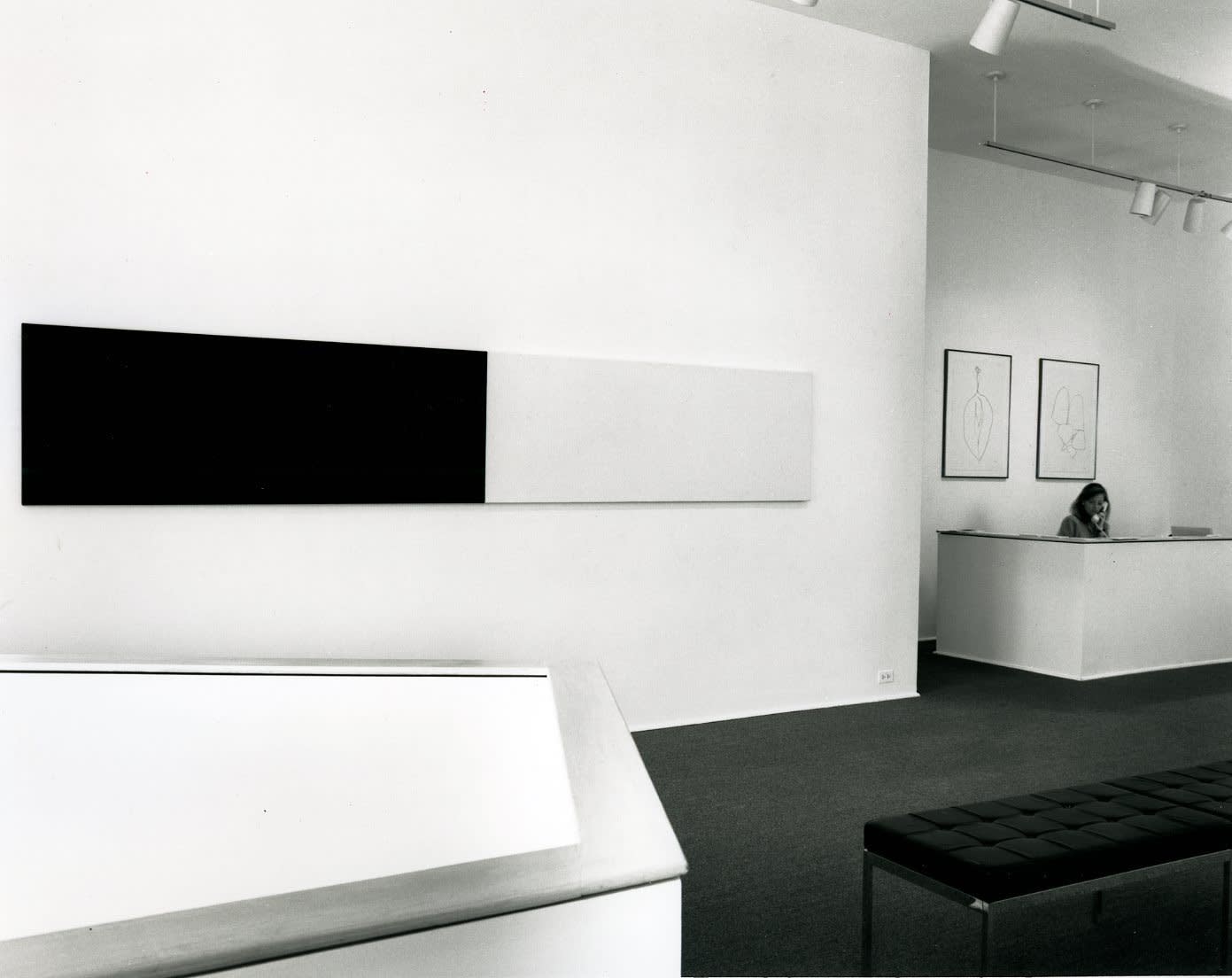 Ellsworth Kelly
