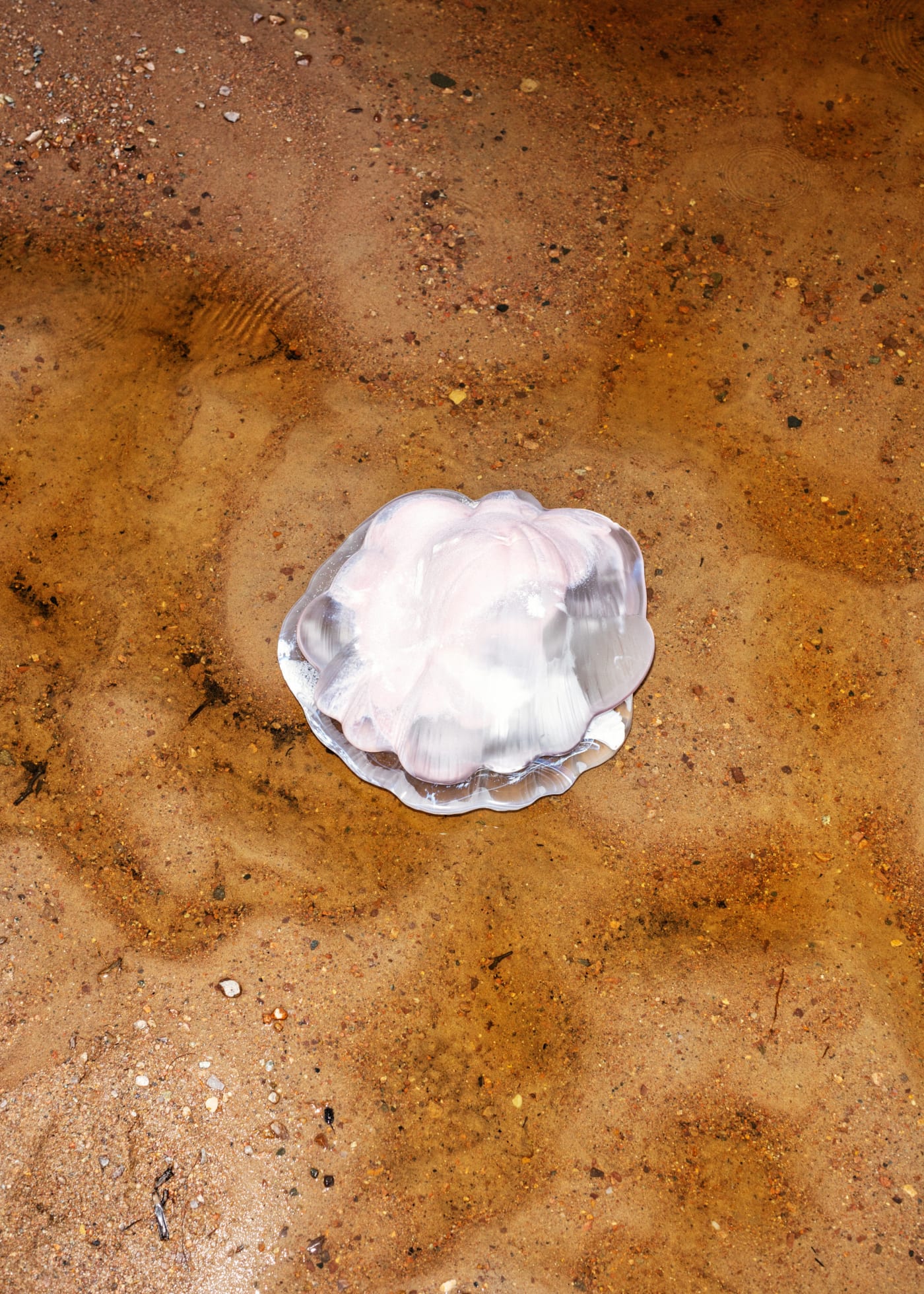 Venus skugga