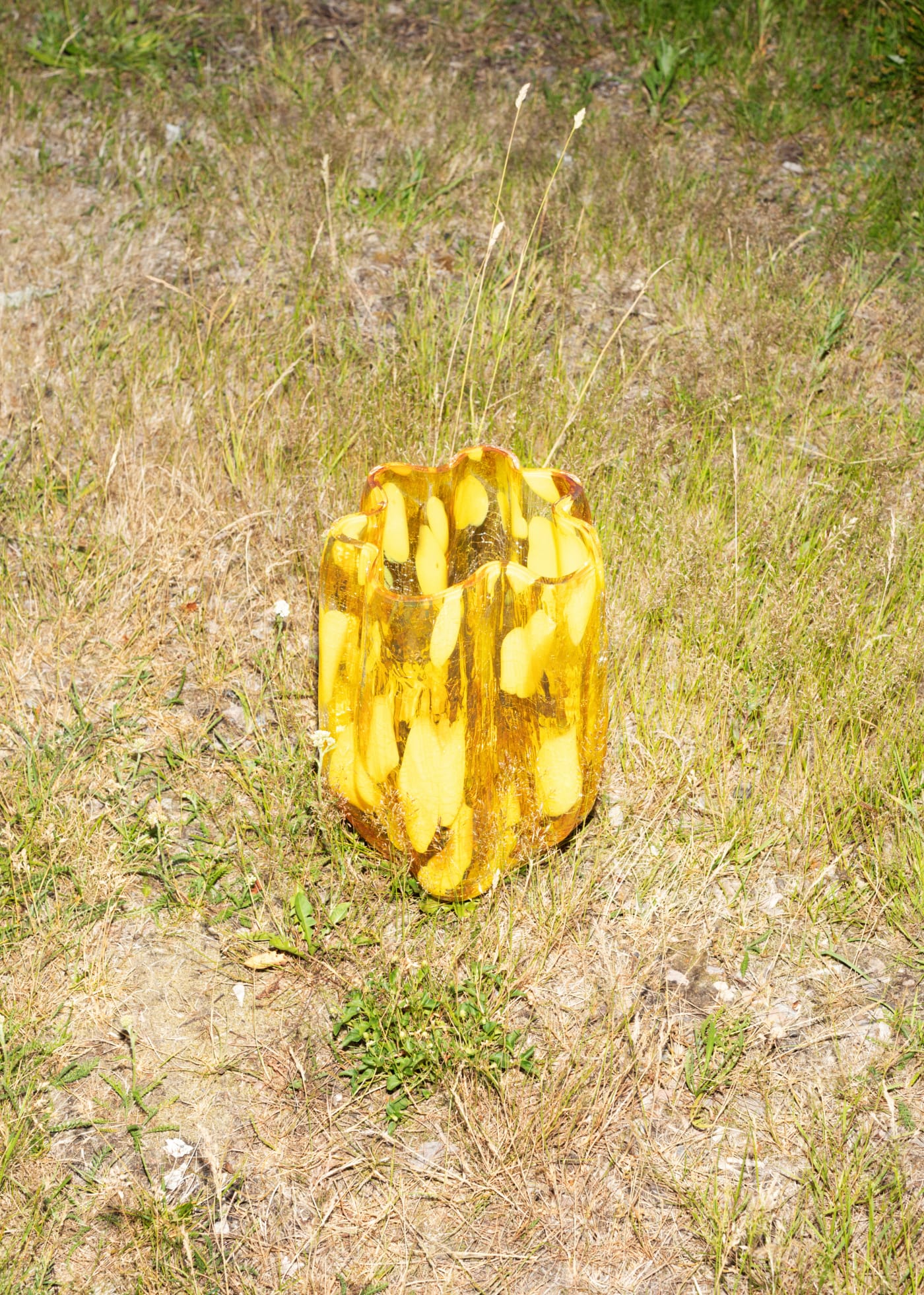 Venus skugga