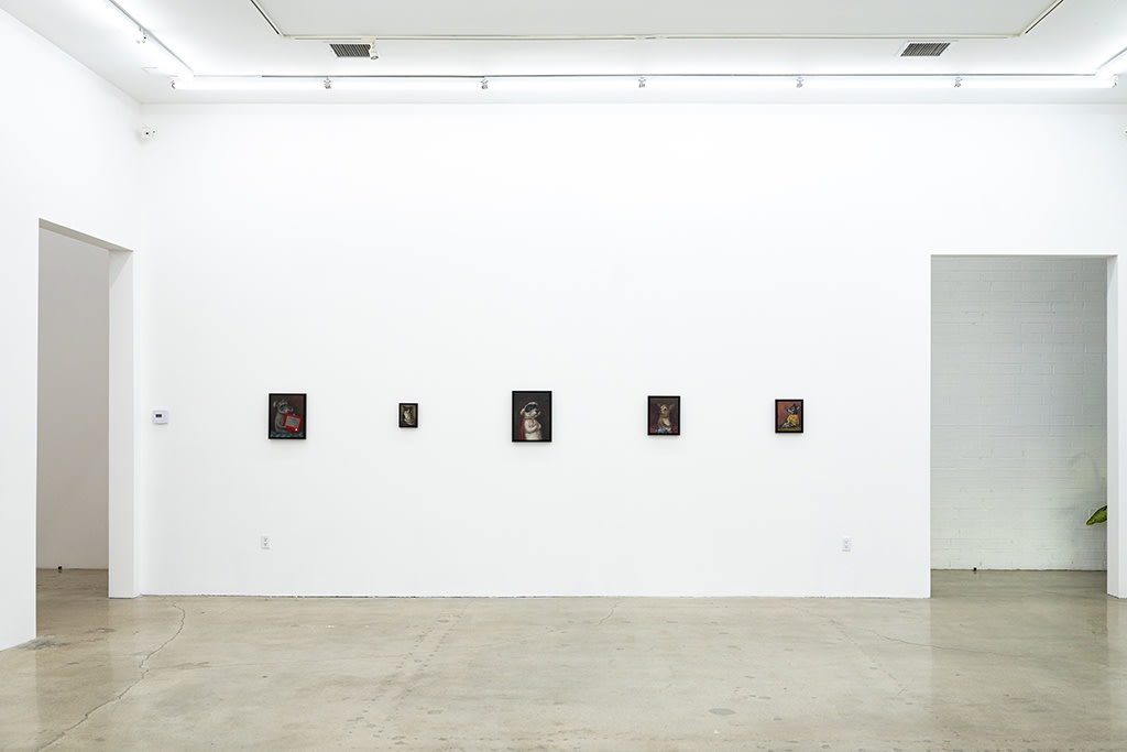 Installation view of Alison Friend's exhibition "While You Were Out..."