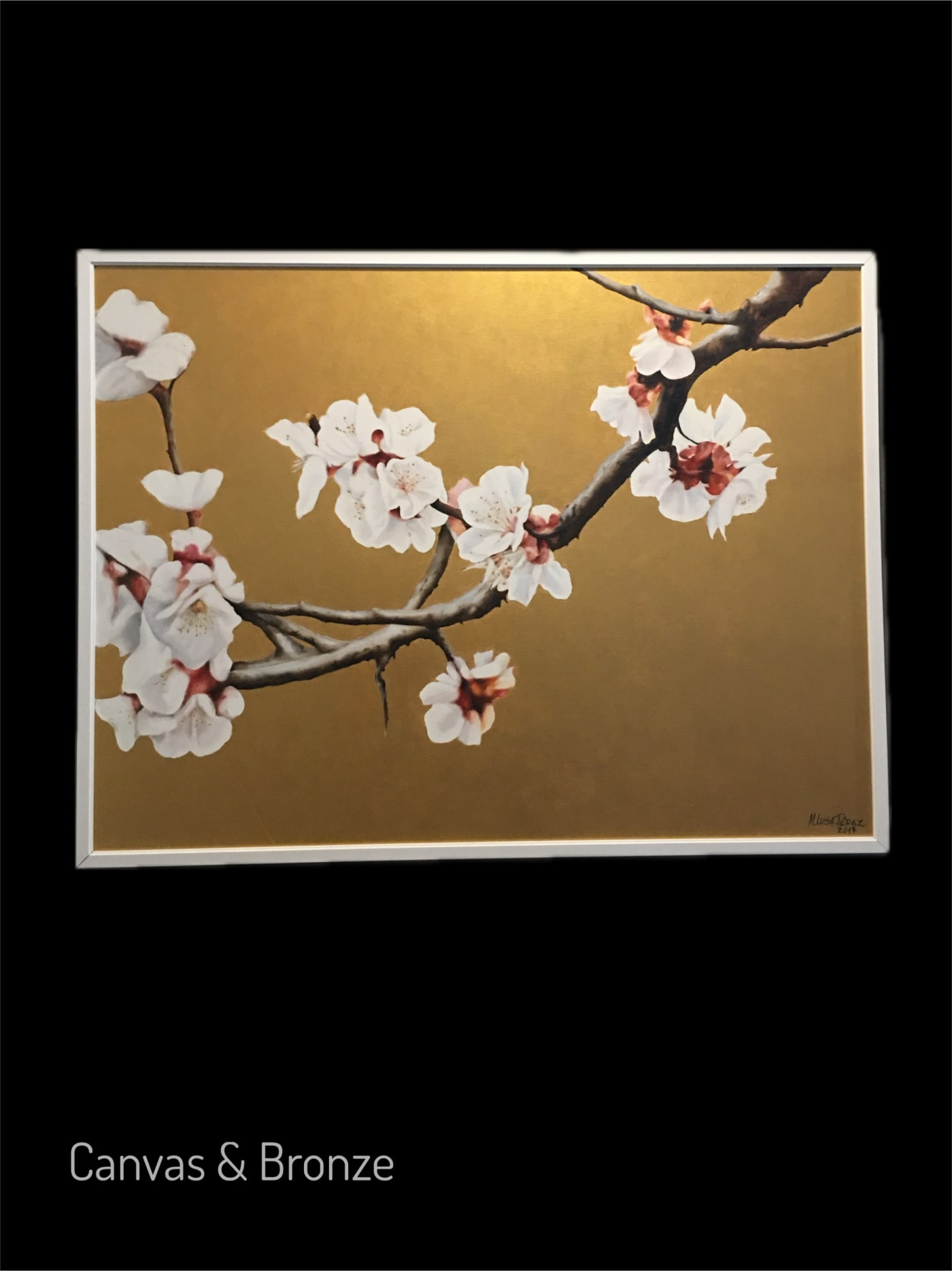 M Luisa perez, Blossom, 2016
