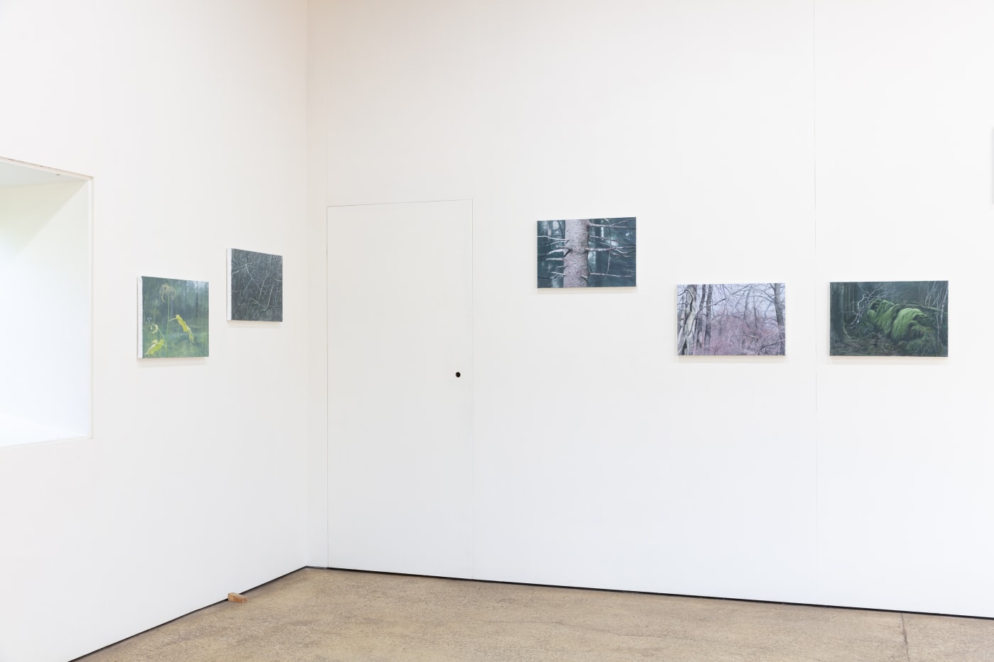 Tommy Hilding | Borealis