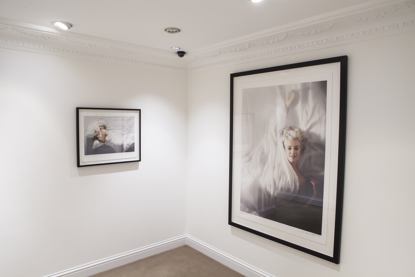 Motcomb Street Spring Exhibition