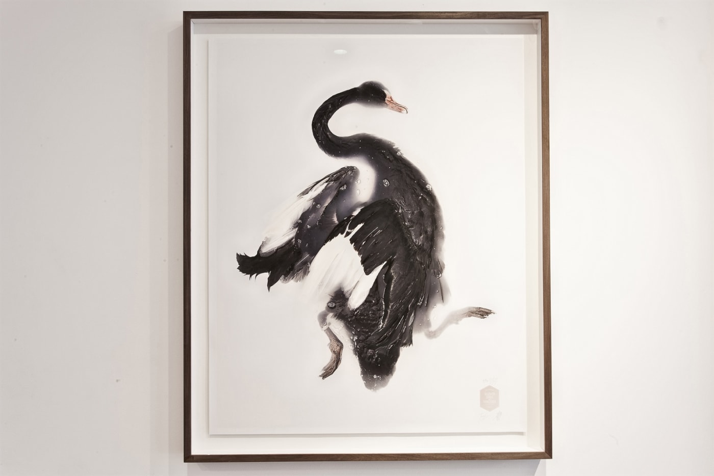 Motcomb Street Summer Exhibition