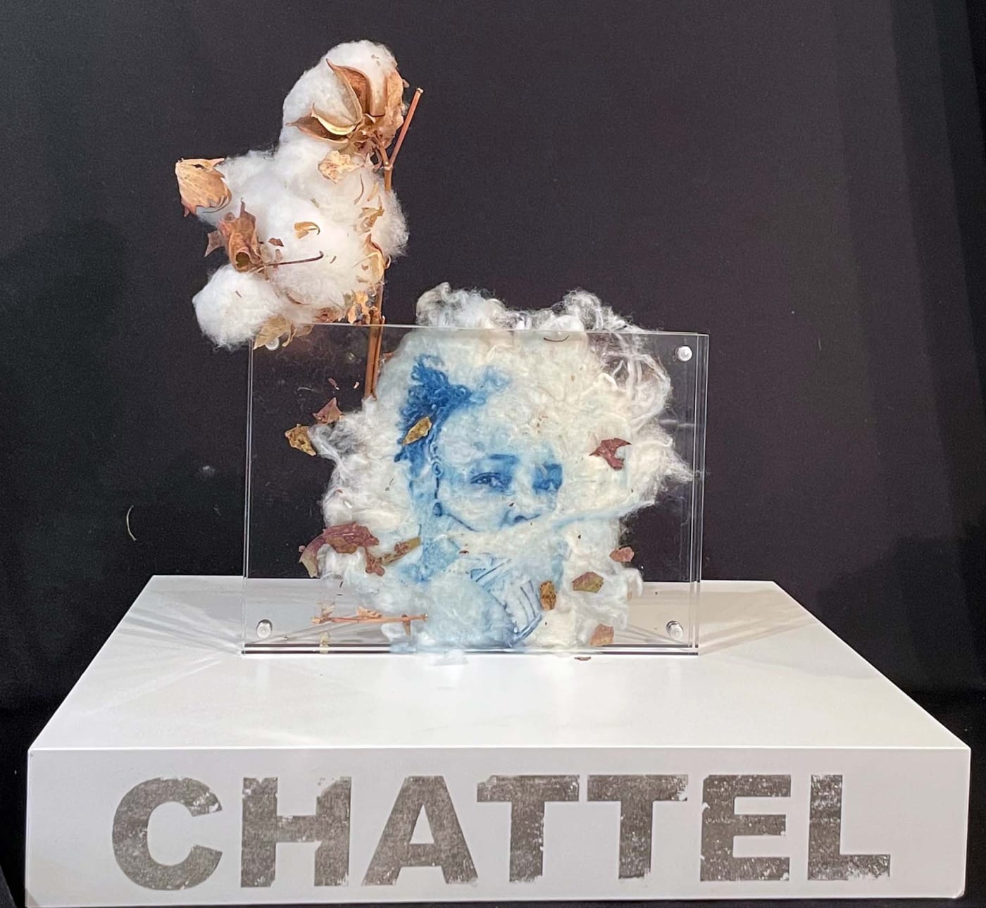 Ann Johnson Chattel, Ann……from the auction block series