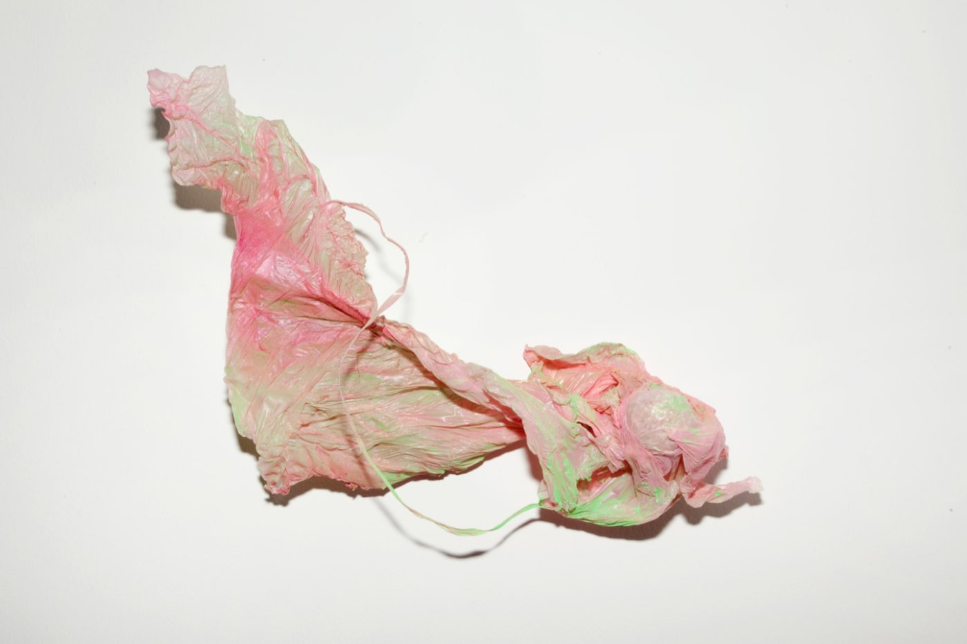 Tilfelli, 2014 plast, úðalakk Nonsicle , 2014 plastic, spray paint ca. 22 x 24 HRA0066