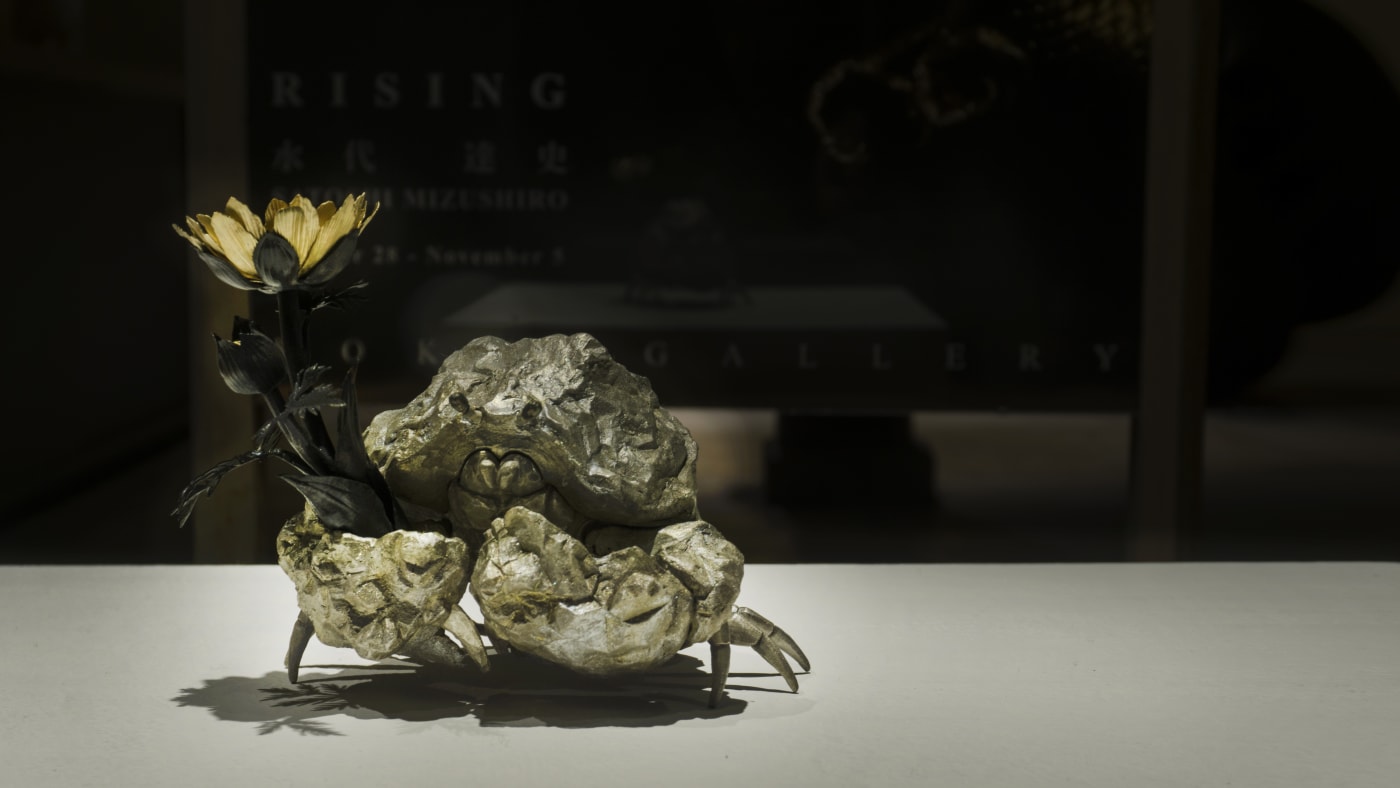 Satoshi Mizushiro : Rising