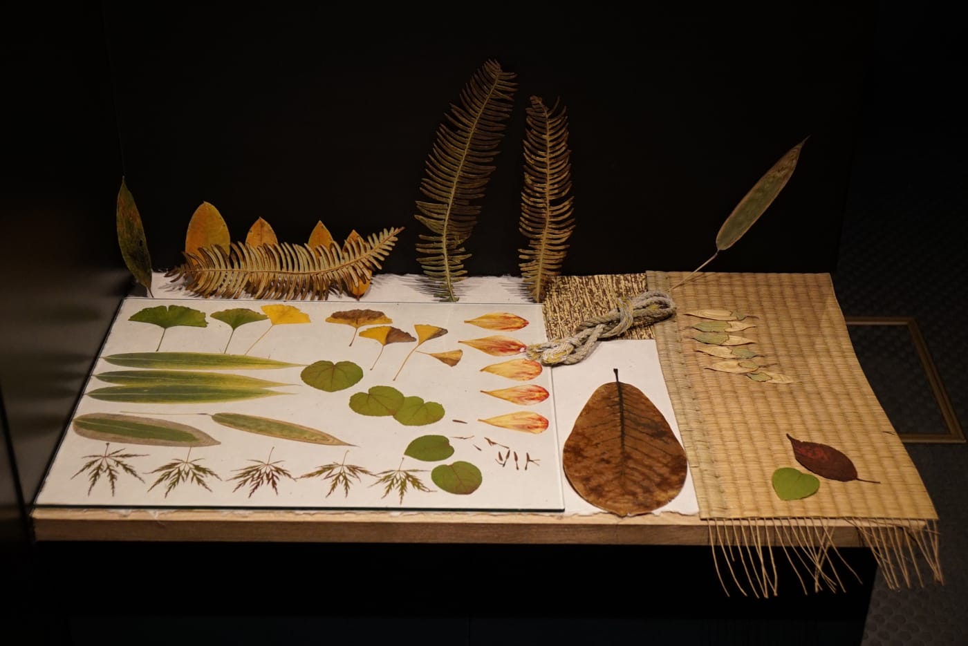 Jennifer Lee : CERAMICS MADE IN SHIGARAKI AND LONDON