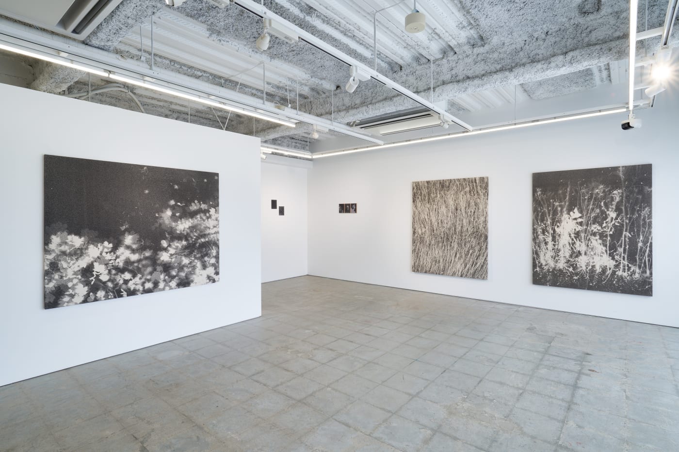 Yuichiro Kikuma: Traces of Summer