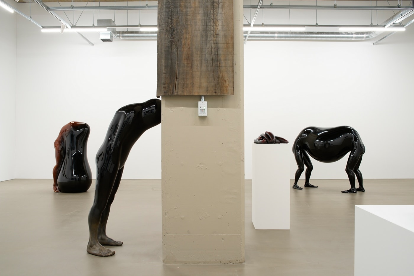 Chie Aoki: Tranquil Bodies