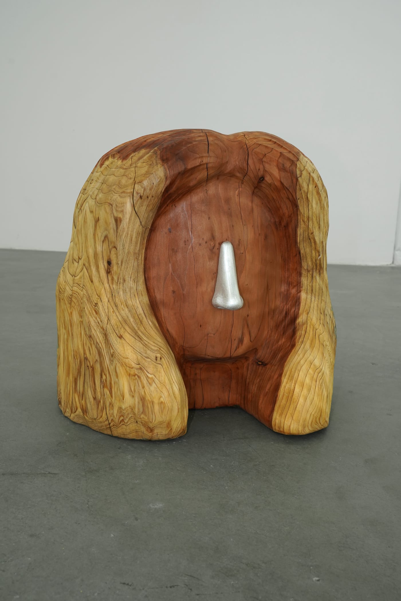 Ryan Belli: Home Bodies