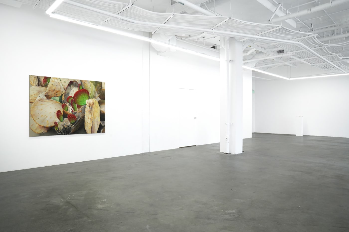 Adele Renault: Things I Can't Unsee