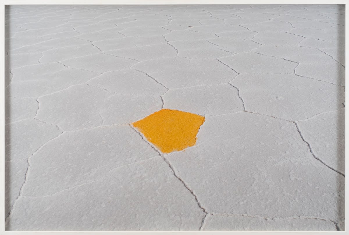 SPITI.AUCTION #7