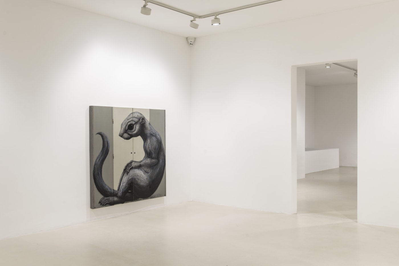 roa