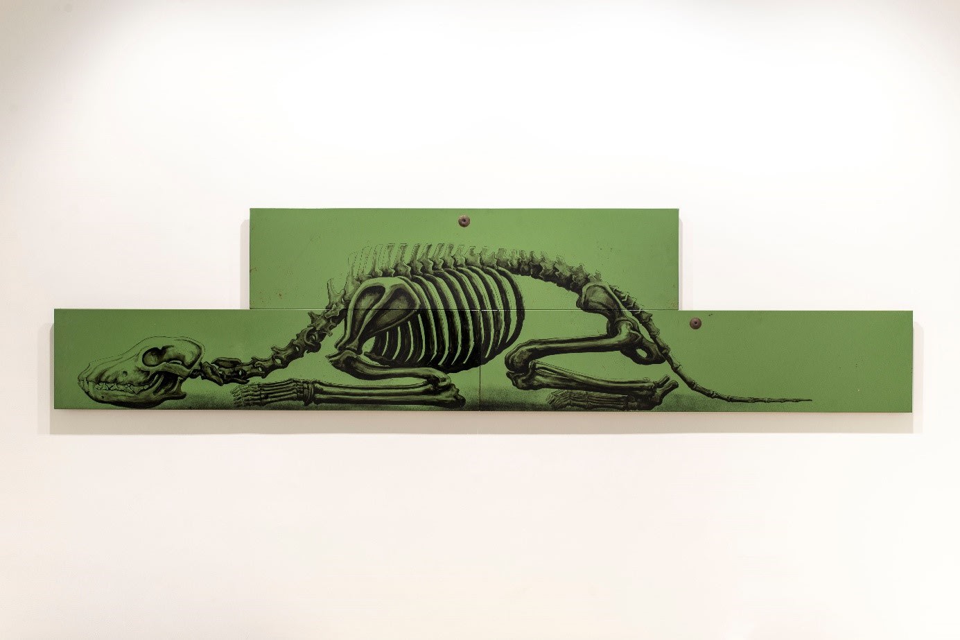 roa