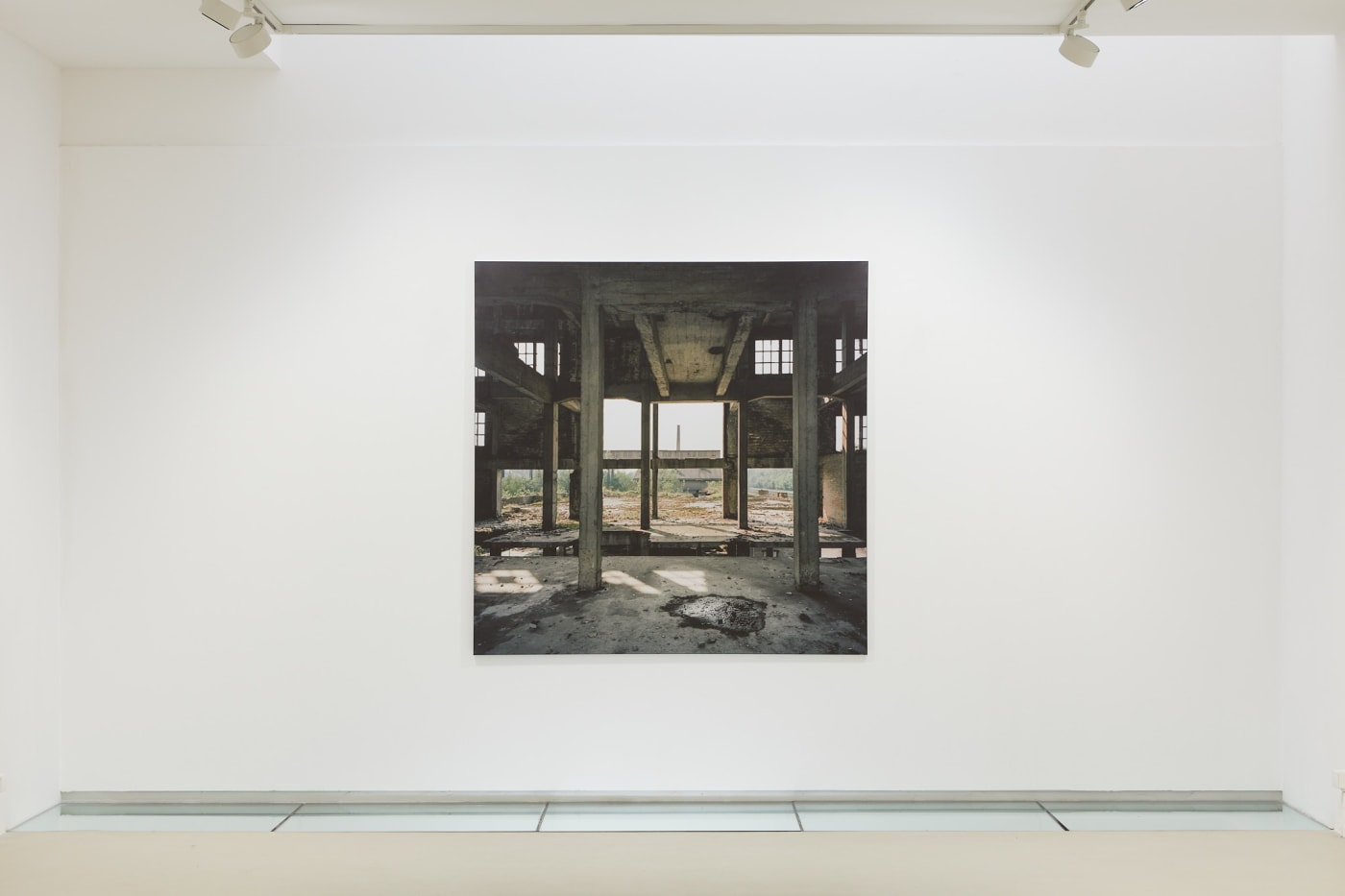 luc deleu & t.o.p. office