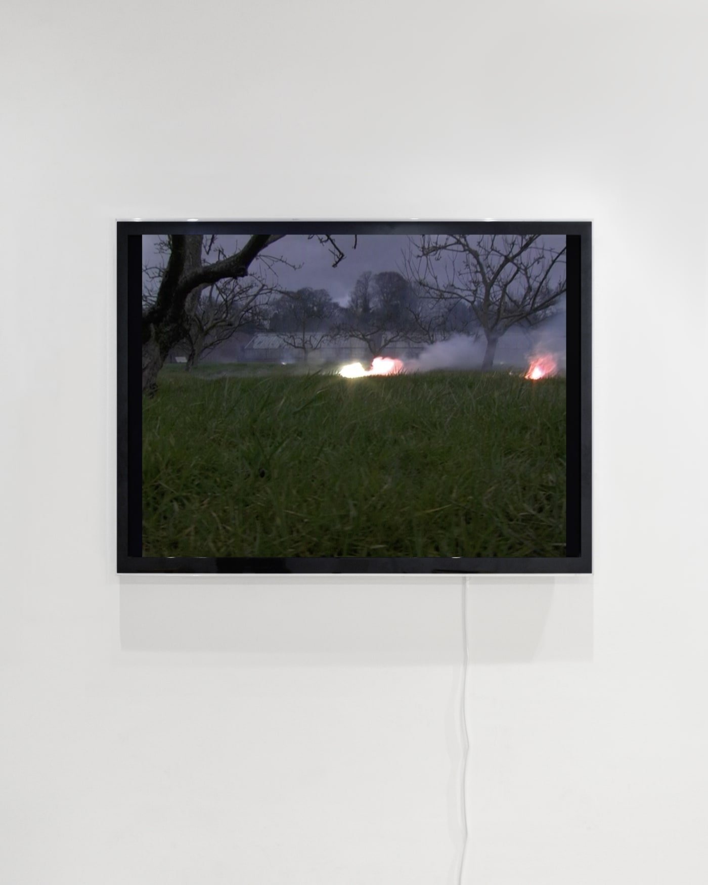 Medium and Memory Curated by Griselda Pollock