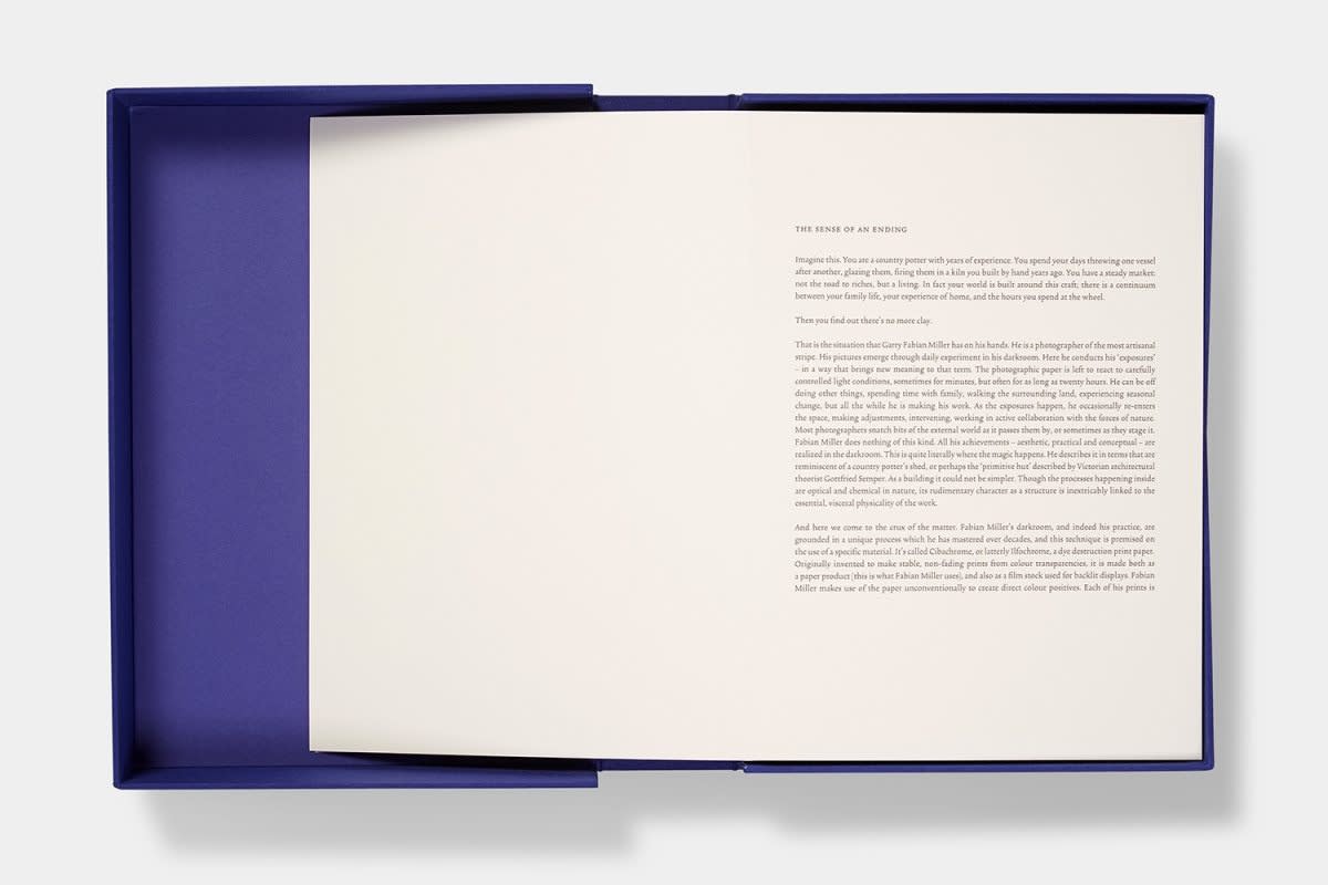 imprint publication - Bliss - Garry Fabian Miller