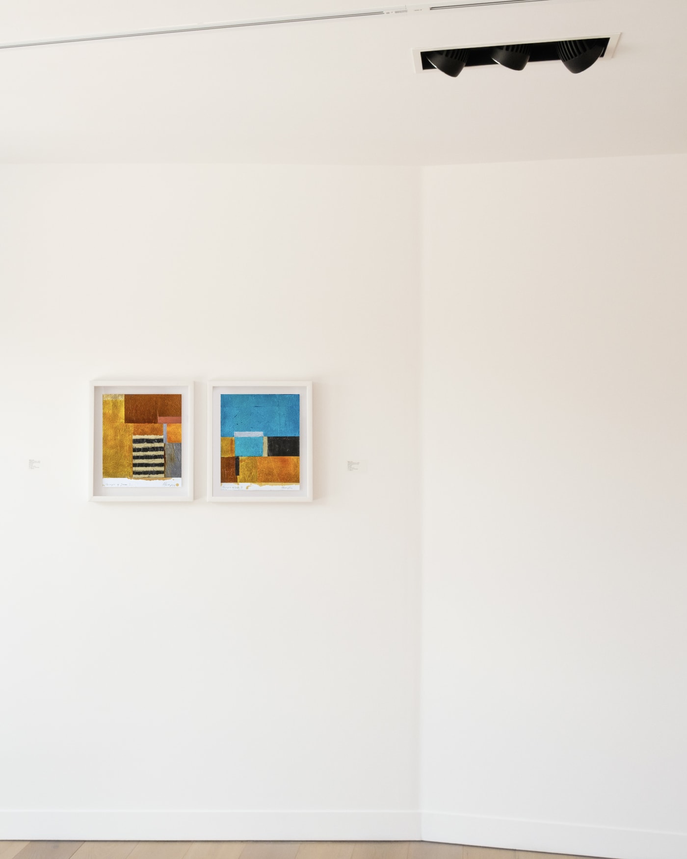 Steve Joy | Forbidden Colours
