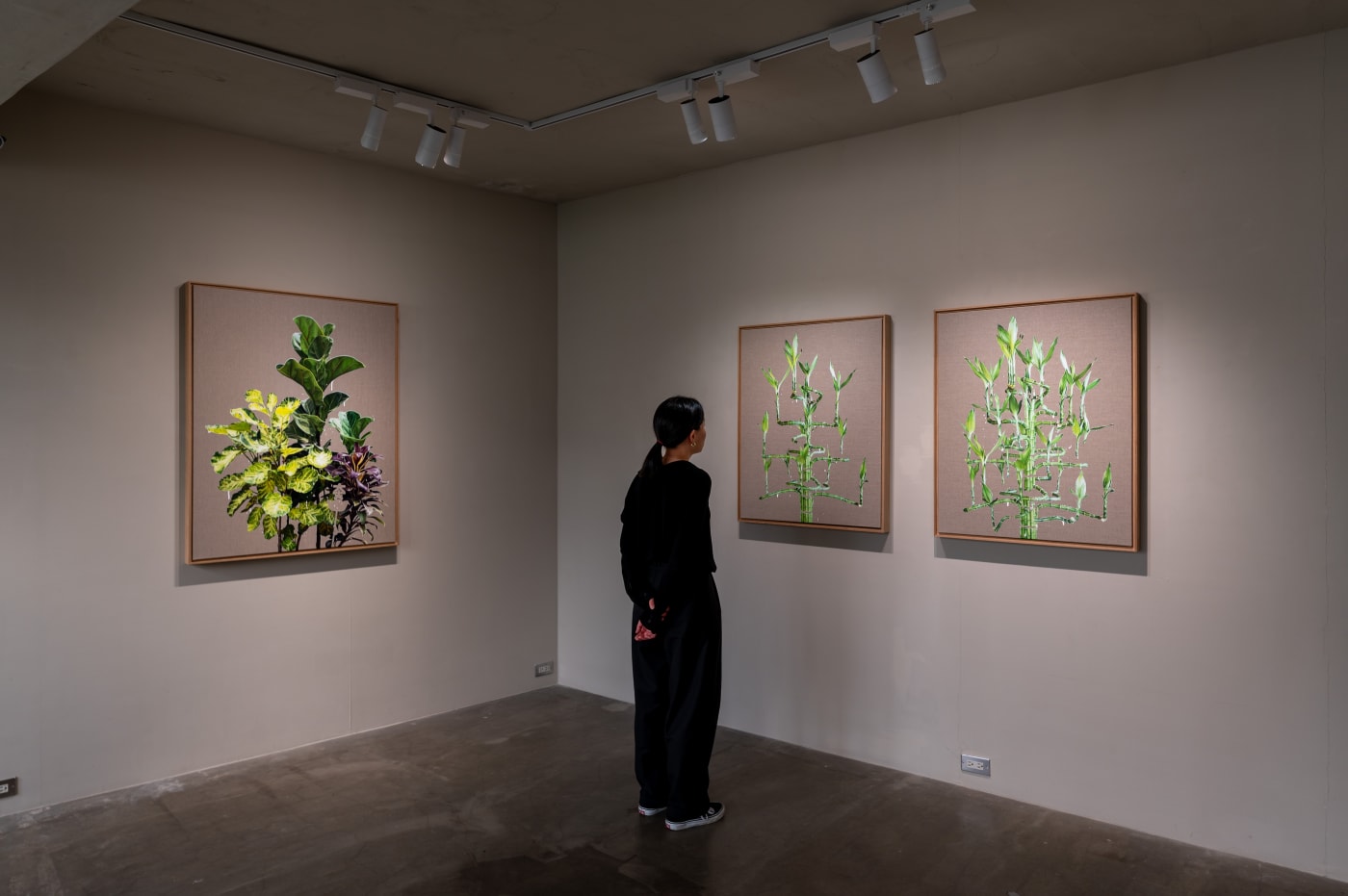 HUANG SHUN-TING: PLANTS & PLANTERS