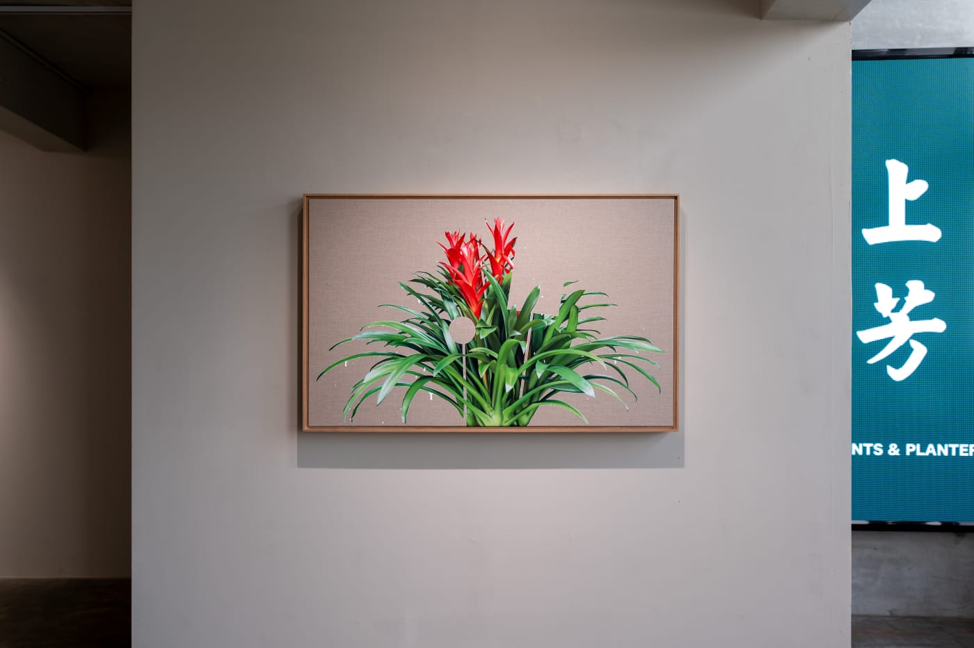 HUANG SHUN-TING: PLANTS & PLANTERS