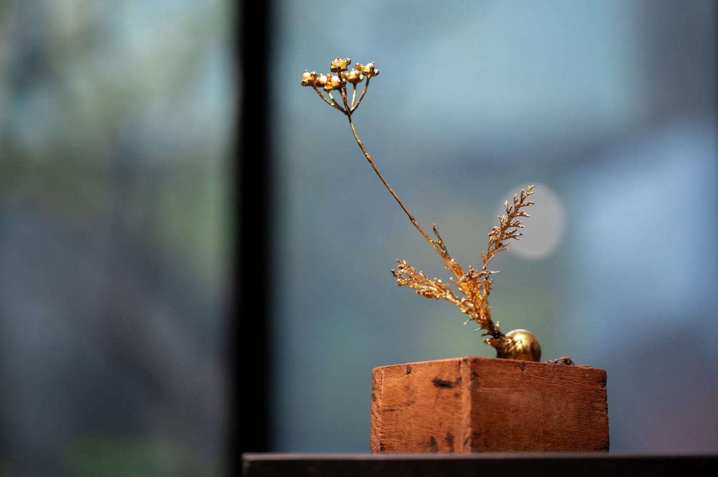 Su Chien-Lin: Follow Among the Grass and Trees