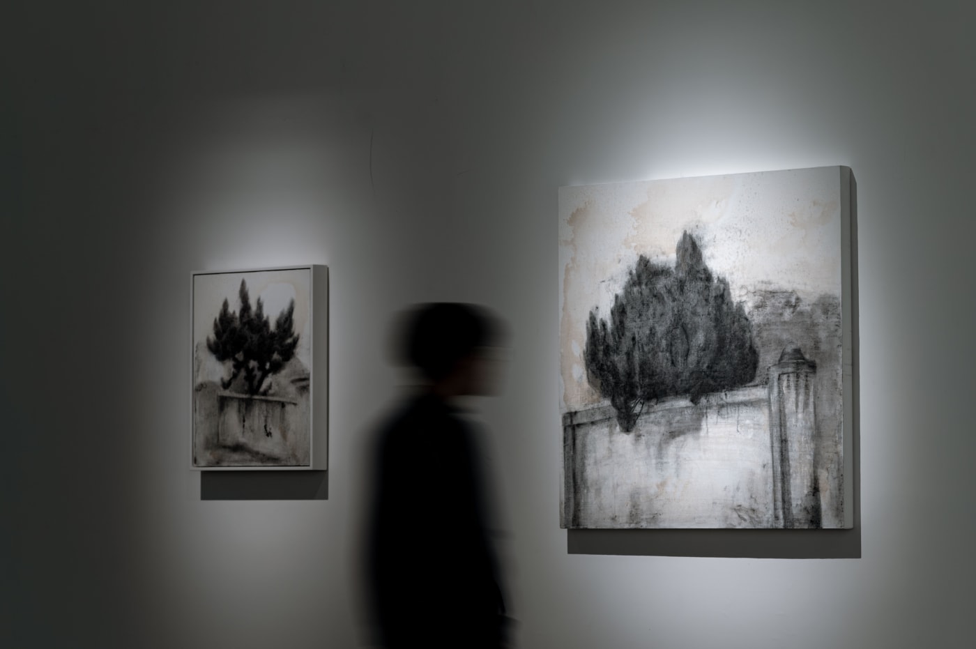 Li Shih-Wen：The Wild