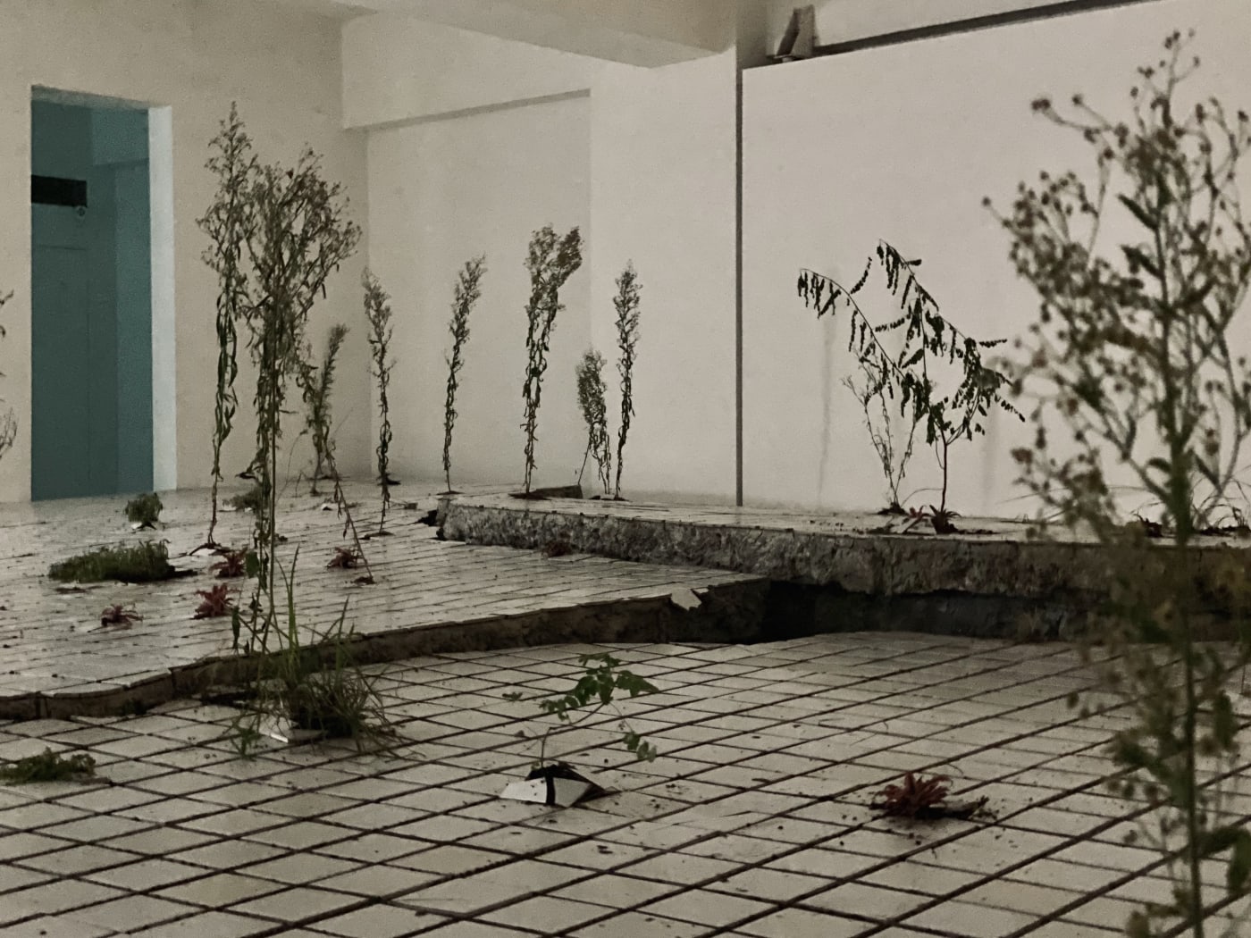 Wang Yu-Song：Being in Both Formosa