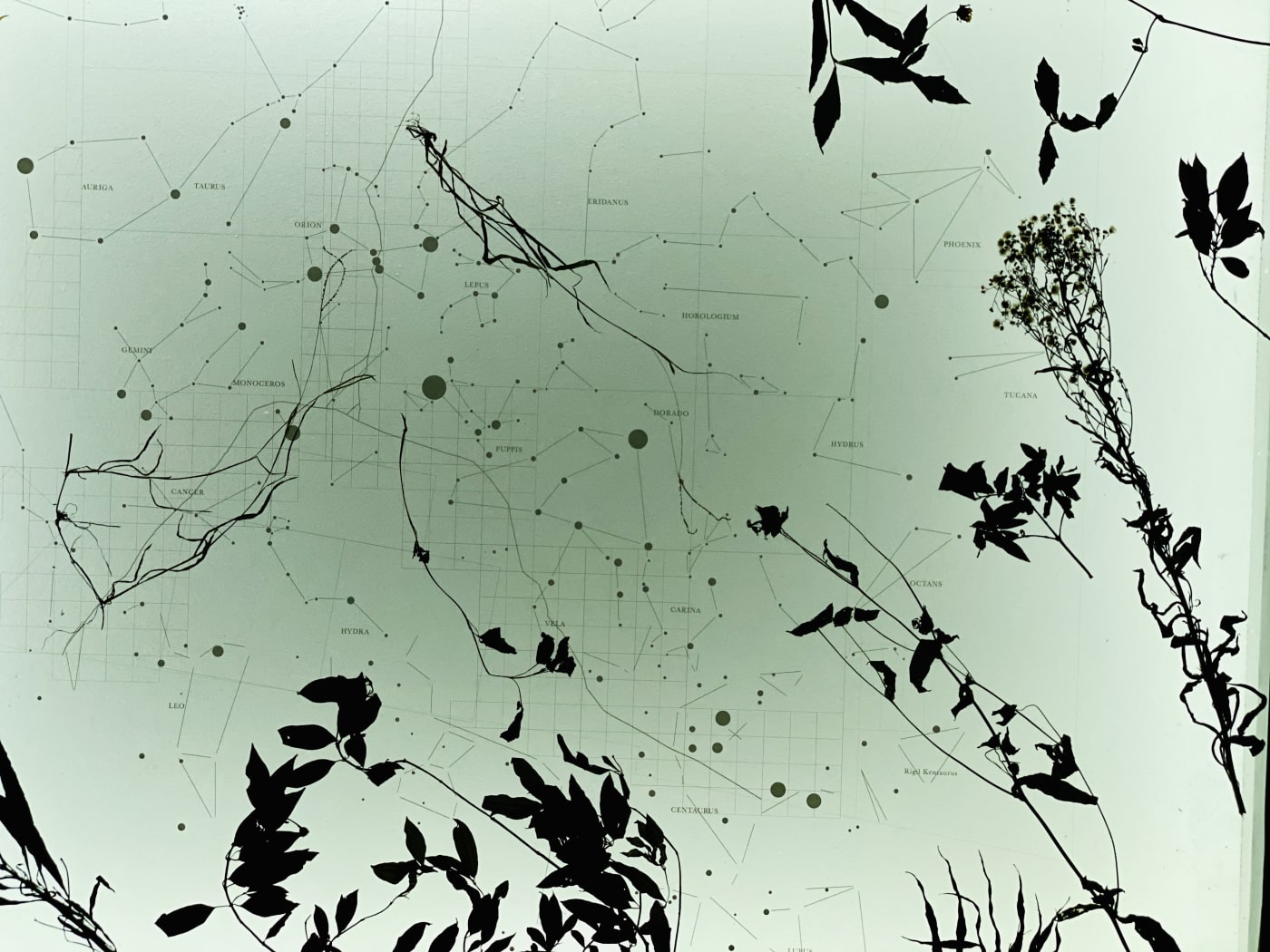 Wang Yu-Song：Being in Both Formosa