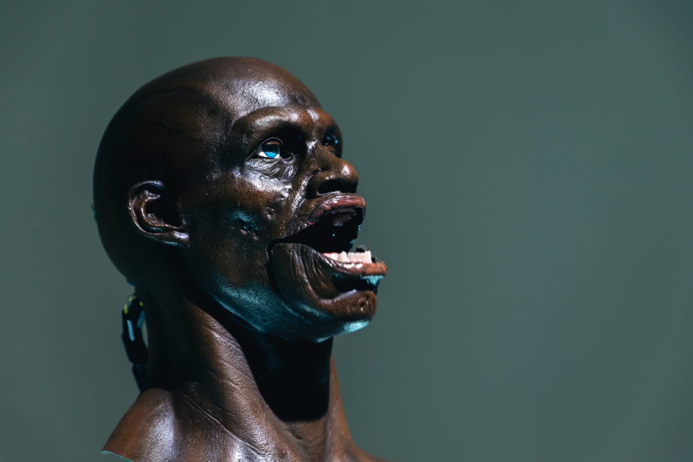 Ting-Tong Chang：Machines under the Similitude of Men