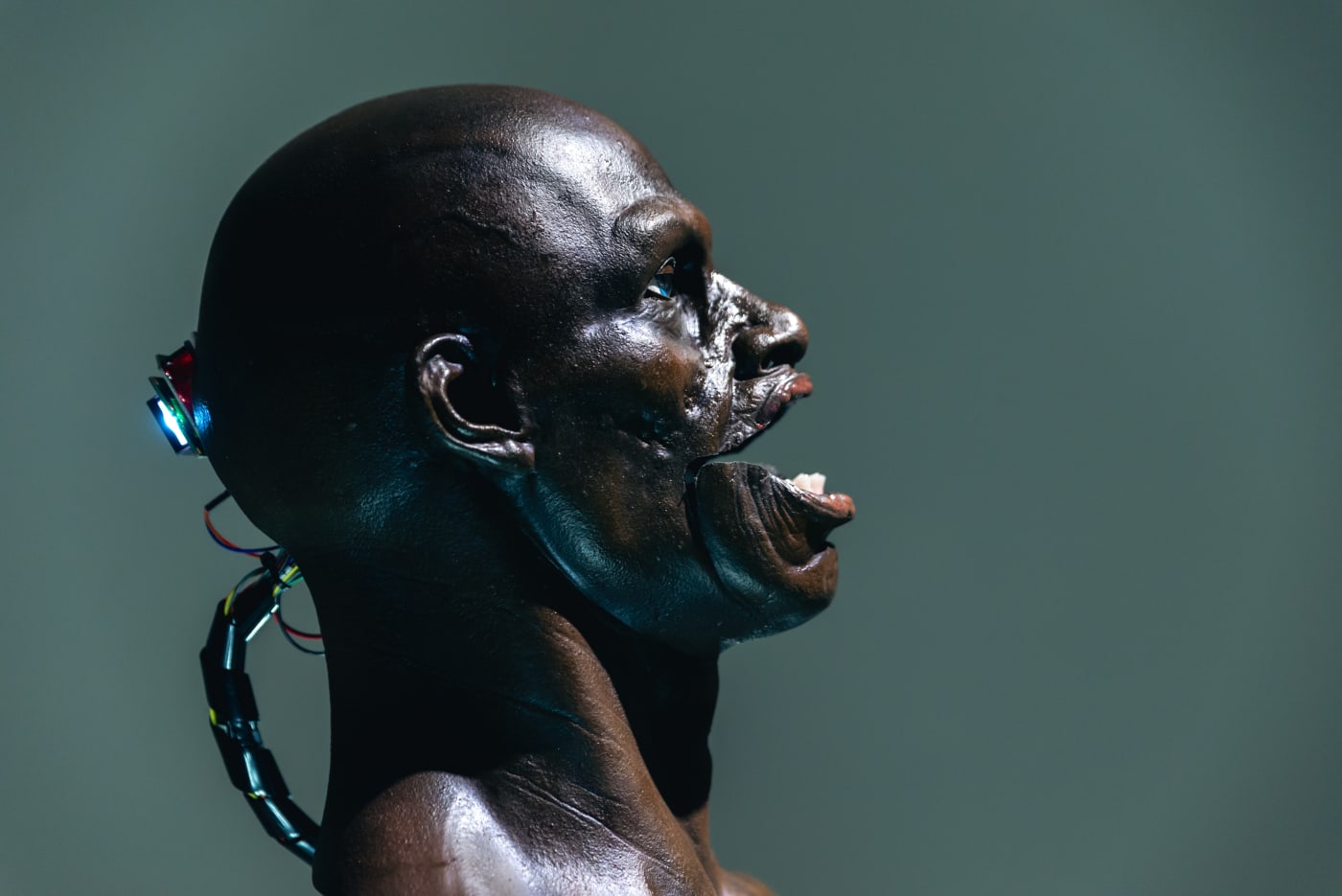 Ting-Tong Chang：Machines under the Similitude of Men
