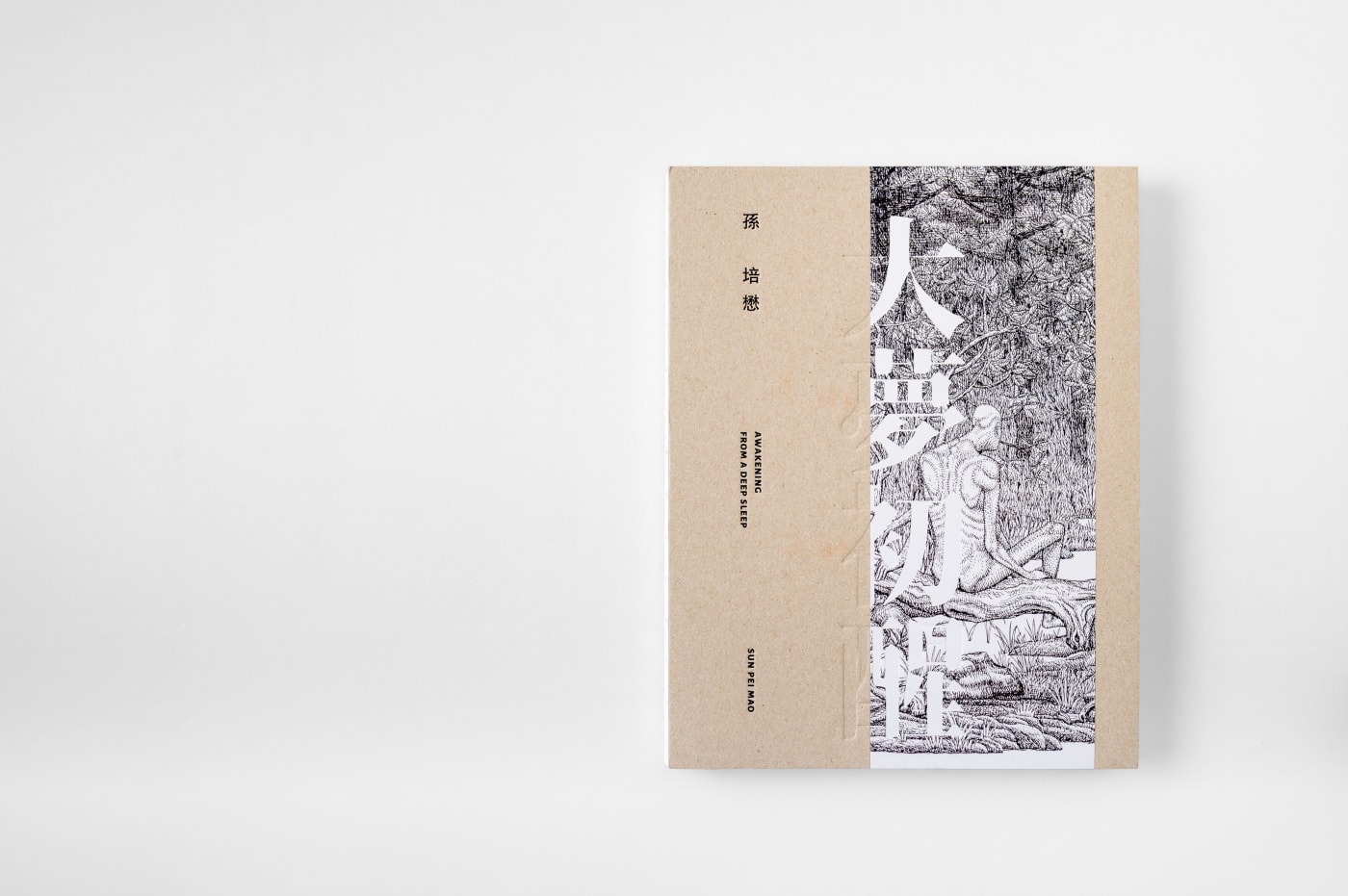 Sun Pei-Mao: Awakening From A Deep Sleep