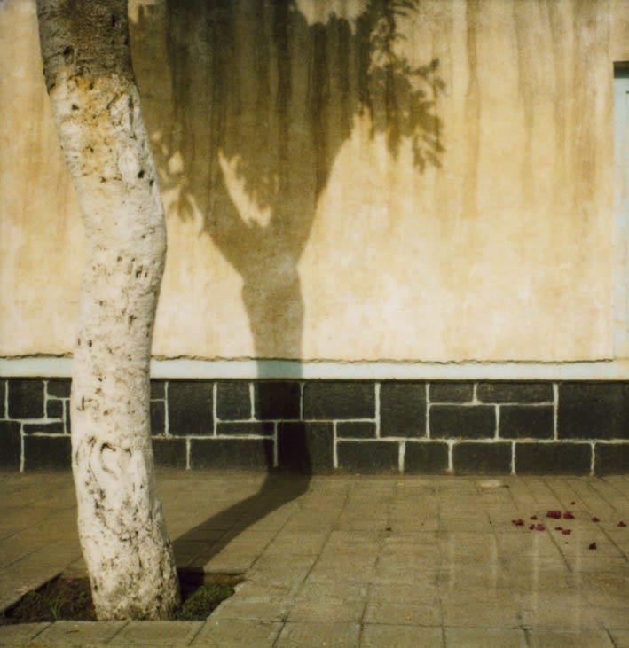 Asmara Dream