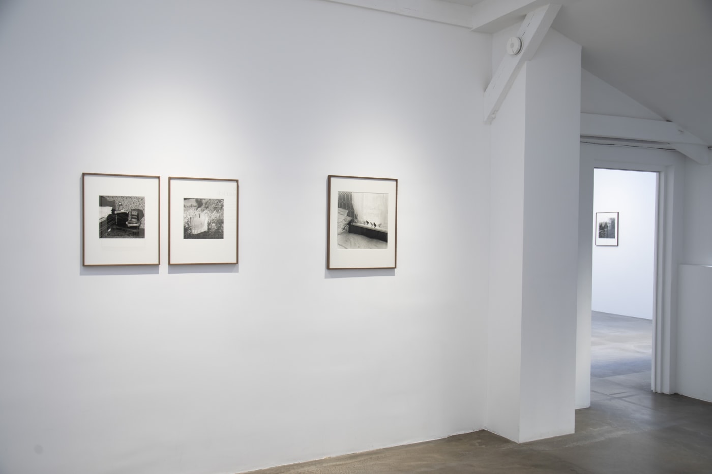 Anne Rearick