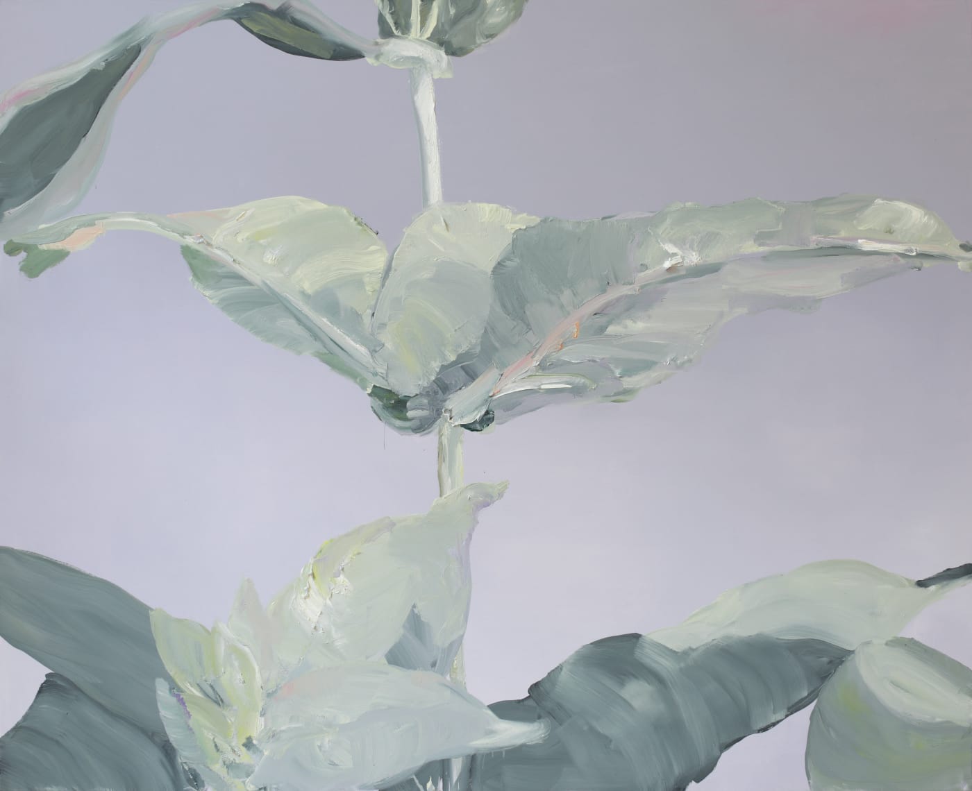 Barbara Ellmerer, Globulus, 2011