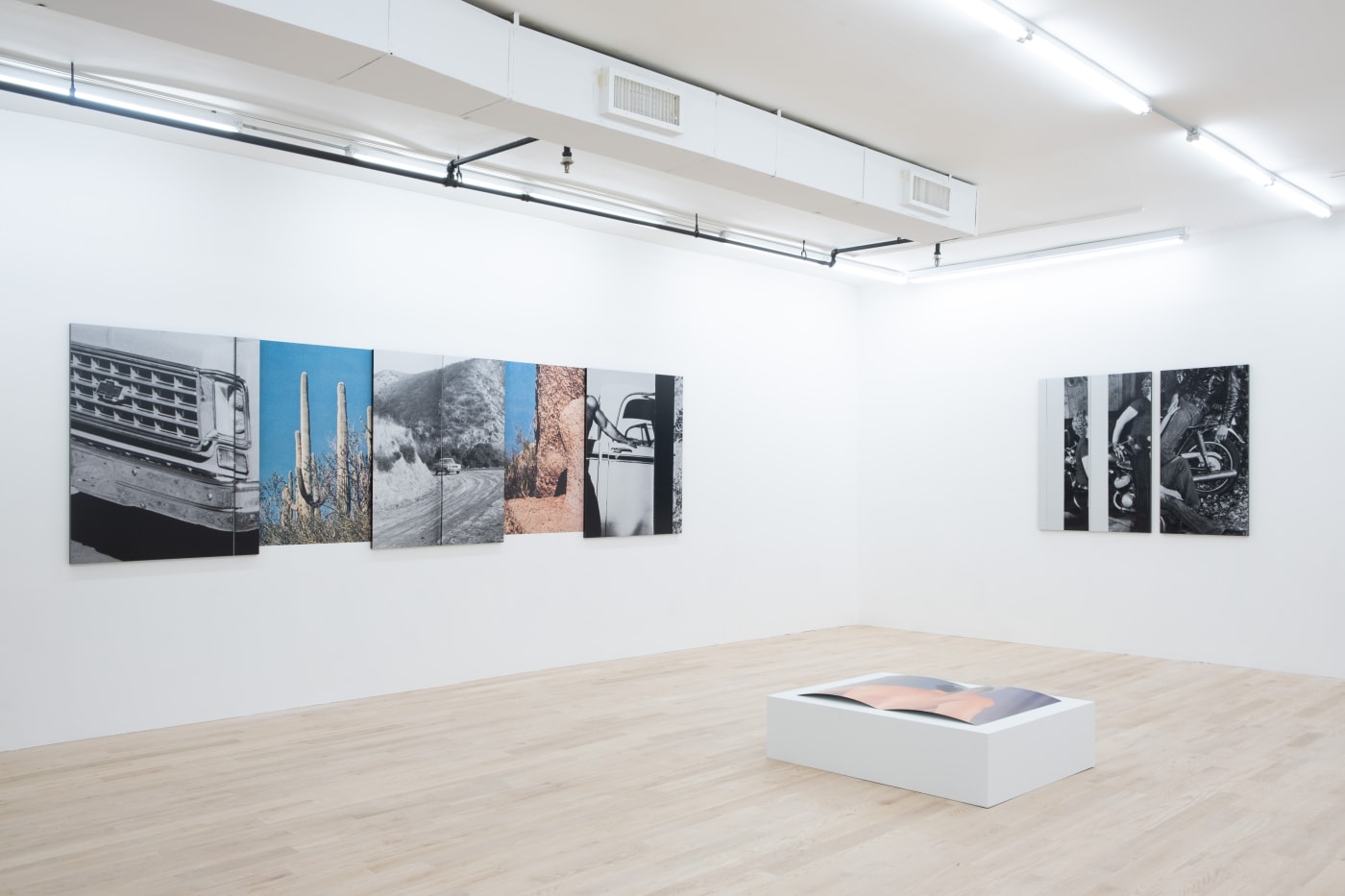 Pacifico Silano, If You Gotta Hurt Somebody, Please Hurt Me, installation view. Photo: Inna Svyatsky
