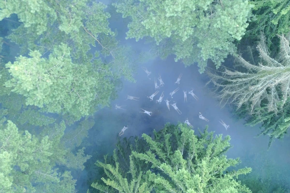 Jura Shust, NEOPHYTE, 2020, installation View