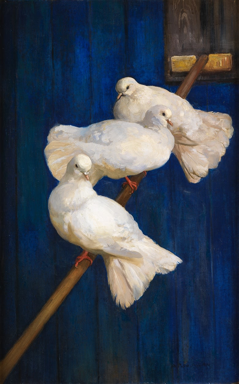 Archibald Russell Watson Allan (1878-1959), Three Pigeons